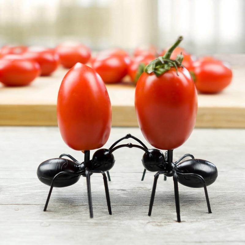 12Pcs Ants Food Fruit Holder - MaviGadget